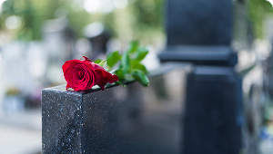 Конец жизни (смерть)